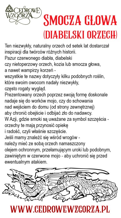 Smocza Głowa (Garra de Exu, Fava de Exu) – Cedrowe Wzgórza – talizman ochronny i symbol mocy w magii Hoodoo, opakowanie produktu