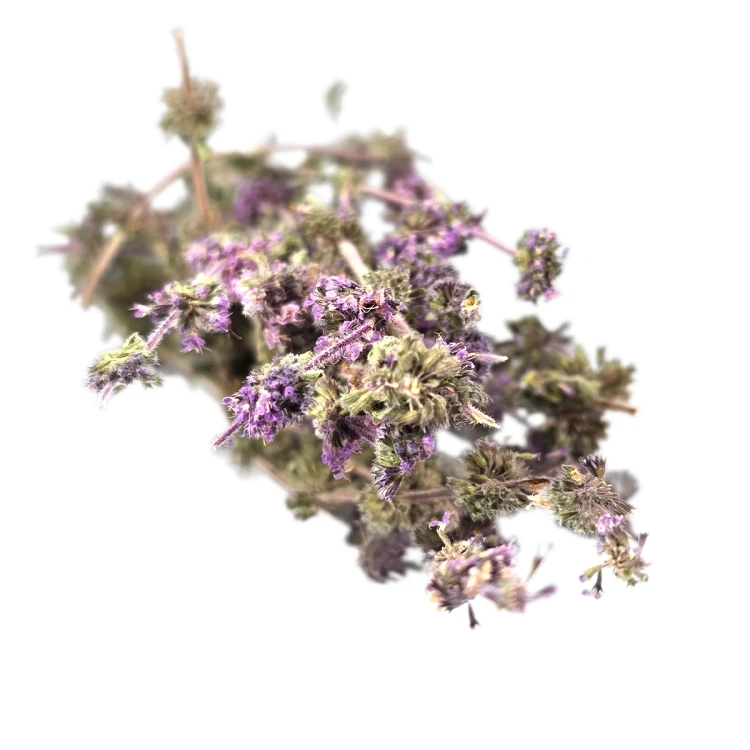 Suszona mięta polej (Pennyroyal) Cedrowe Wzgórza – naturalne, ręcznie zbierane gałązki o silnym aromacie. Tradycyjnie stosowana w magii ochronnej, oczyszczaniu, kontakcie z duchami i Przodkami, oraz przywracaniu zgody w związku i rodzinie.