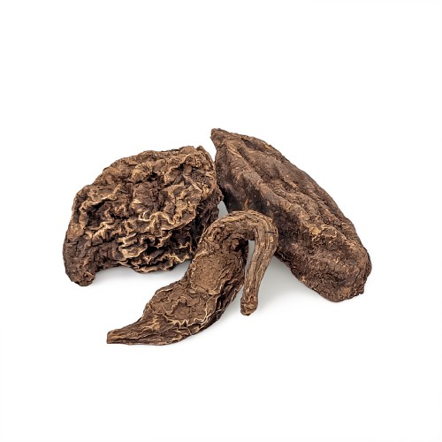 Korzeń Wielkiego Jana Zdobywcy (High John the Conqueror Root) – Cedrowe Wzgórza – talizman Hoodoo na triumf i dobrobyt. Przykładowe korzenie.