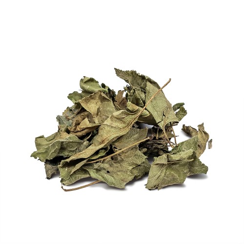 Abre Camino – Cedrowe Wzgórza – zioło Hoodoo do otwierania dróg, usuwania przeszkód i ochrony. Przykładowy surowiec — liście.