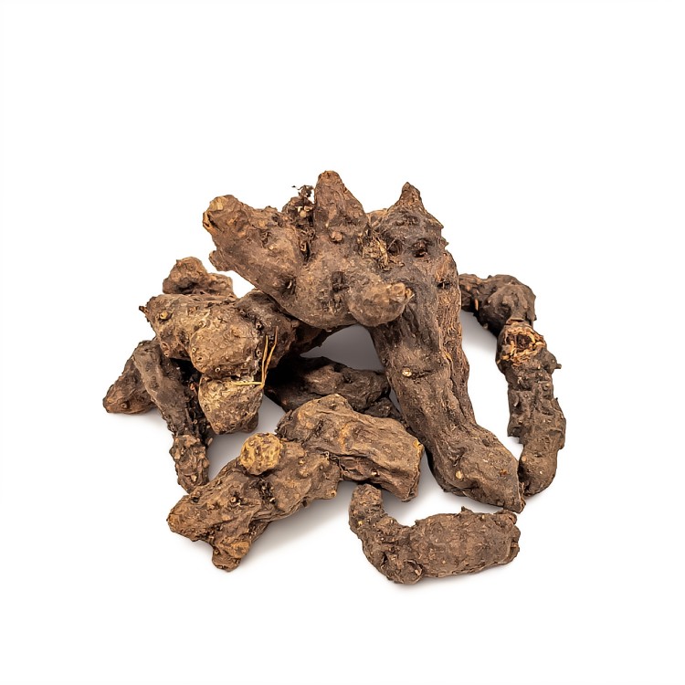 Korzeń Trawy Pięciopalczastej (Five-Finger Grass) – Cedrowe Wzgórza – zioło Hoodoo do przyciągania szczęścia, miłości, pieniędzy i ochrony. Przykładowy surowiec.